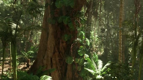 Lush Jungle Landscape in China Featuring a Towering Tree and Dense Foliage