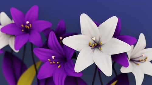 4K Looped Blumen