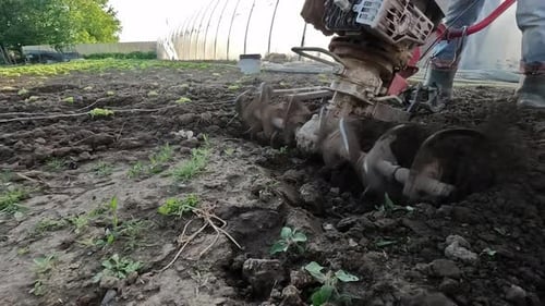Farmer Cultivates Soil with a Manual Motor Plow While Plowing Land in Spring