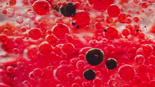 Abstract Red and Dark Bubbles Suspended in Liquid
