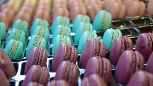 Colorful Macarons Displayed in Bakery Showcase Entice Dessert Lovers