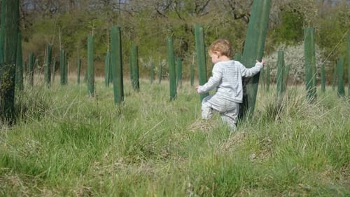 Toddler boy walks in field with long grass, exploring around trees