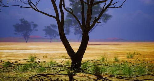 Lonely Tree Stands Resilient Against the Expanse of a Vast Desert Landscape