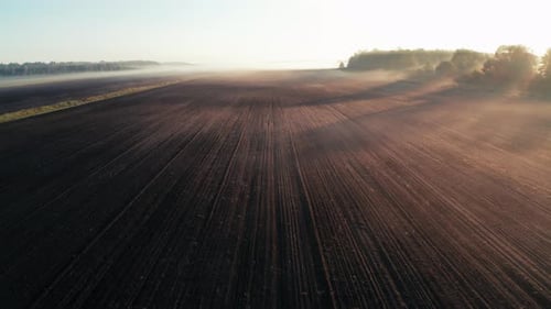 Mystical Dawn Aerial View of Enchanting Forest Field Blanketed in Morning Fog
