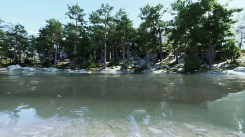 Blue Water in a Forest Lake with Pine Trees