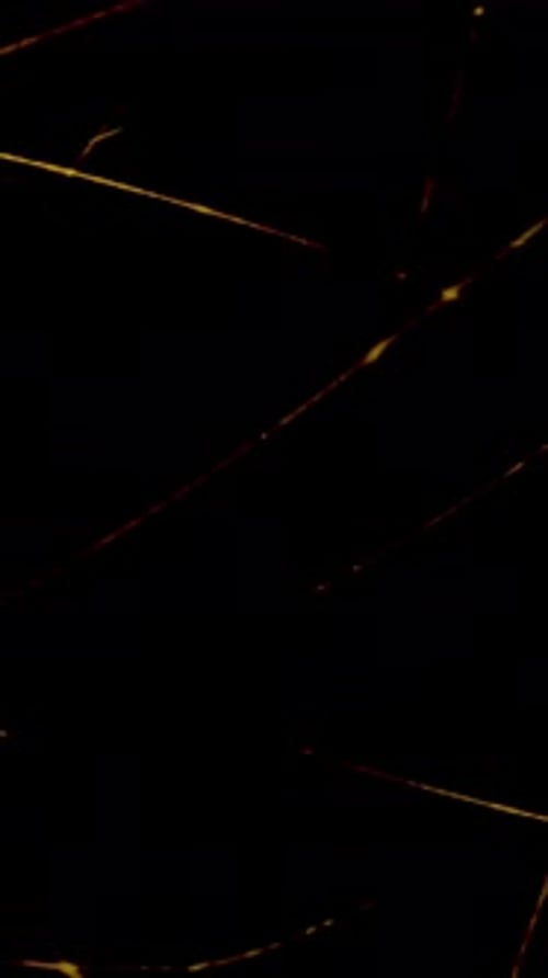 Dynamic Abstract Lines Created on a Striking Black Background with High Contrast Colors