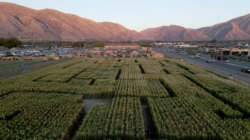 Drone Flying Over The Corn Maze With A Scenic Mountains In The Background In Utah, USA. - aerial dro