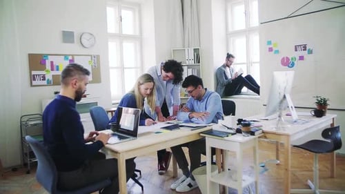 Young Business Team Collaboration in Office