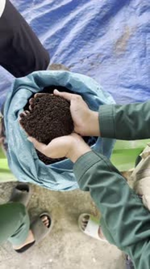 Hands Exchanging Rich Soil