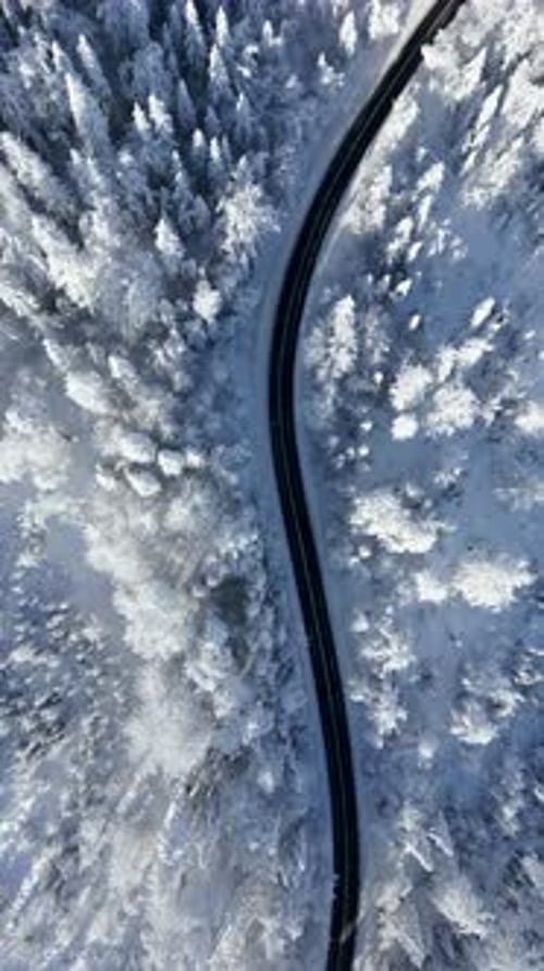 Top Down View of Scenic Road Winding Through a Snowy Winter Mountain Forest