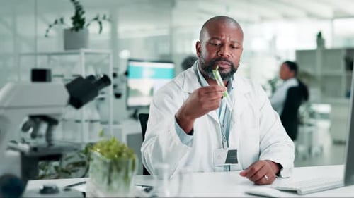 Science, man and test tube with plant in laboratory for sample inspection