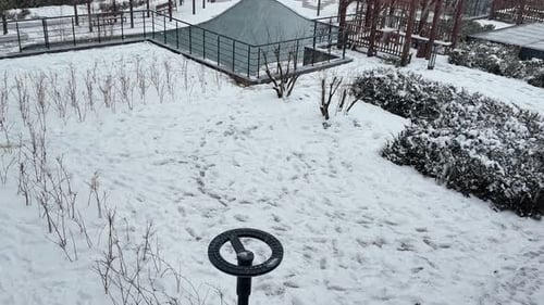 Snow Covers Quiet Park in Winter Landscape