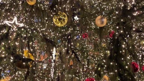 Decorated Christmas Tree at Night with Lights