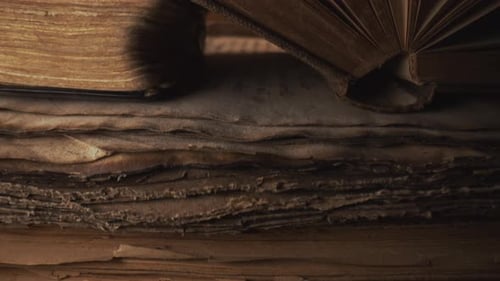 Macro View of Saved Medieval Books with Ancient Writings Religious Literature Archival Manuscripts