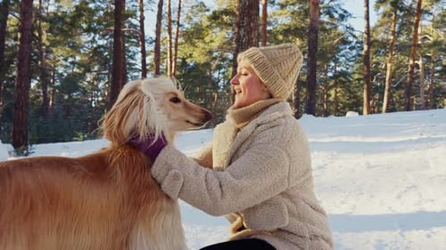 Woman petting long-haired dog in winter forest