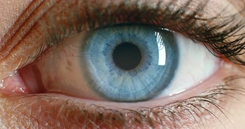 Woman face, blue eyes and vision focus, eyeball and contact lenses to see, eyesight and awareness