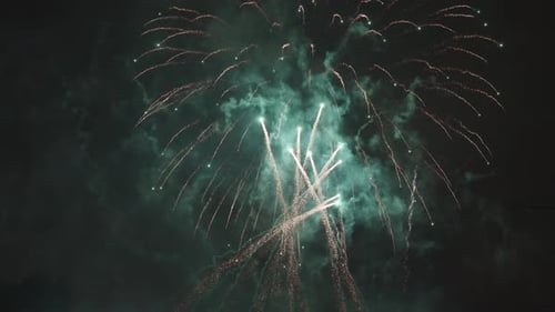 Spectacular Fireworks Exploding in the Night Sky