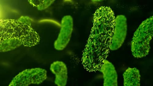 Bacteria Colony, Microbiome and Bacterium or germs inside intestines. Microbes inside human gut