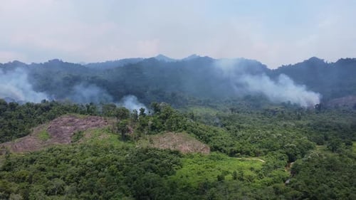 Aerial view of forest fires or forest burning to clear land in the mountainous areas of Kalimantan