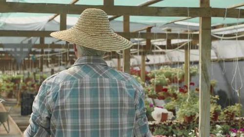 Gardener Carrying Potted Plants along Plant Nursery