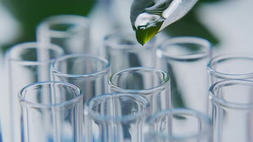 Pouring Drops of Liquid Plant Extract from Leaf into Test Tubes