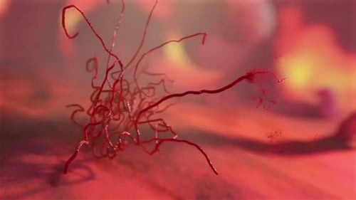 Abstract Red Organic Vein Animation