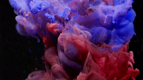 Abstract Blue and Red Ink Swirl on Black