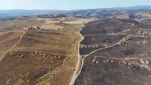 Burnt Forest Landscape After Wildfire - Aerial View in 4K