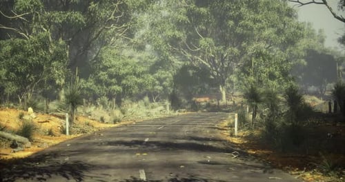 Peaceful Country Road Surrounded By Lush Greenery on a Sunny Day