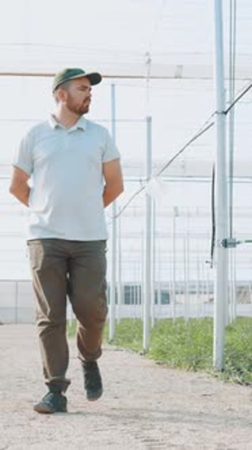 Man Walks Through Greenhouse