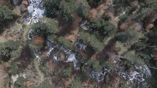 aerial view from a little bit snowy forest and road