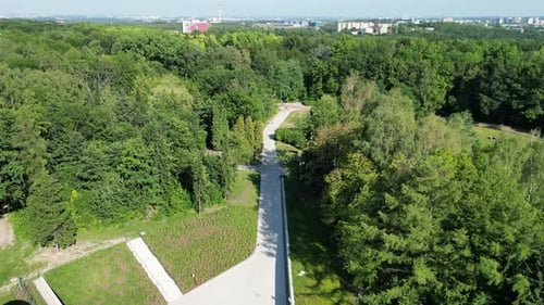 Aerial wiev of park during a summer day surrounded by lush greenery, grass and trees under a blue sk