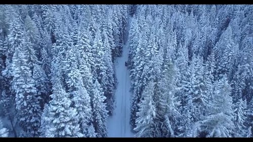 4K Car driving on asphalt road through snowy forest in winter
