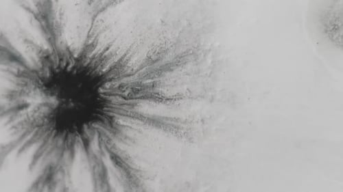 Paint Spill Drop Grunge Blob Black Splatter Liquid