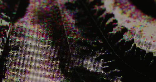 Defective Display Glitch Noise Deformation Defocus