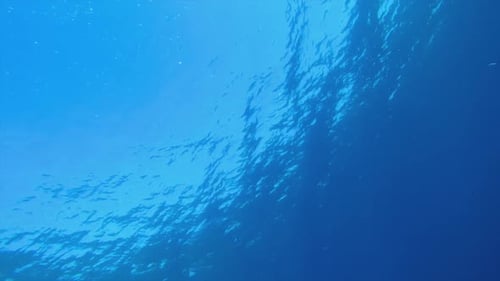 Bajo las olas cristalinas