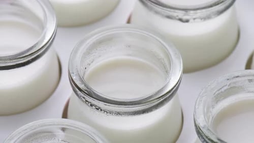 Freshly prepared homemade yogurt. Macro shot