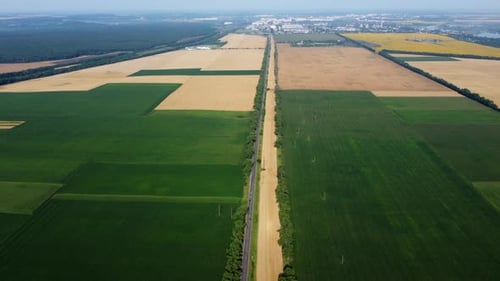 Automobile Asphalt Road with Cars Driving Along It Between Agricultural Fields