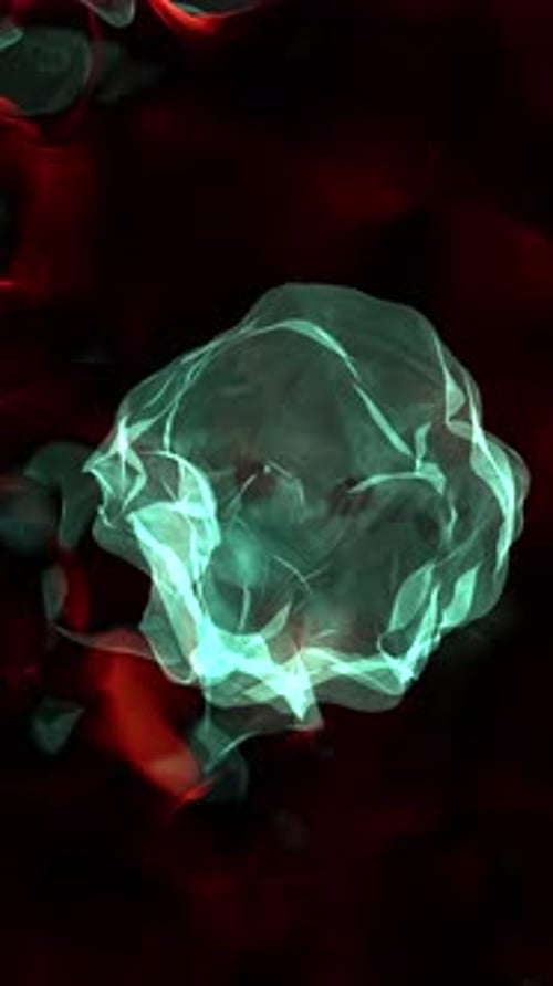 Fluid Organic Shapes in Red and Teal Abstract Background