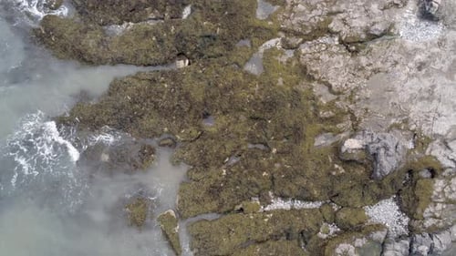 Aerial birdseye view descending rotation above rocky seaweed coast rock pool landscape
