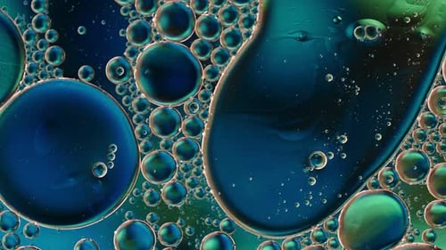 Abstract Colorful Food Oil Drops Bubbles And Spheres Flowing On Water A Surface 77