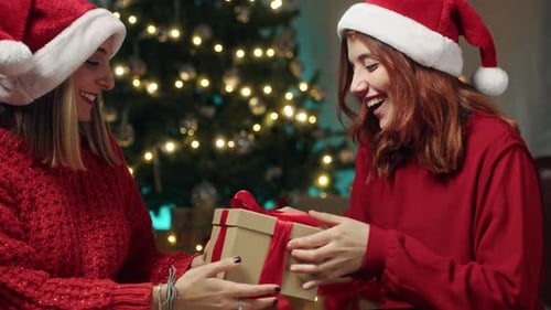 Two Women Opening Christmas Presents in Decorated Home