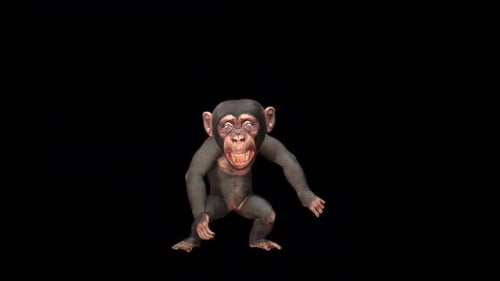 Chimpanzee Dance