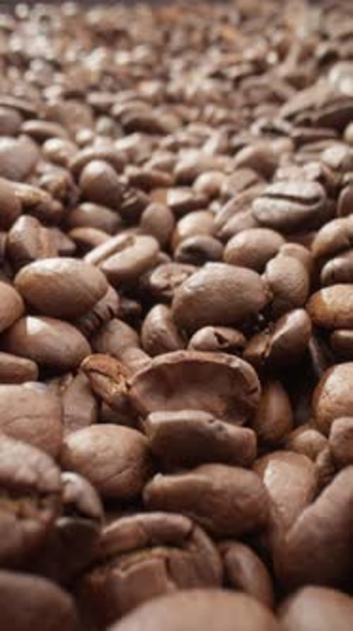 Braune geröstete Kaffeebohnen Slider Dolly Shot Haufen leckerer Kaffeebohnen