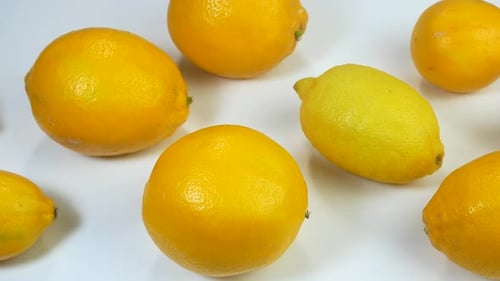 Freshly Picked Lemons on a Blank White Surface