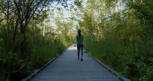 Woman Walks Along Wooden Path in Forest