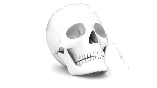 Human skull in white color on plain background