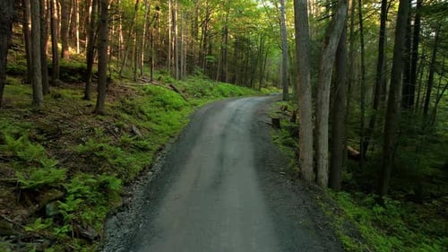 aerial drone video footage of an abandoned and isolated crumbling road going into the vast