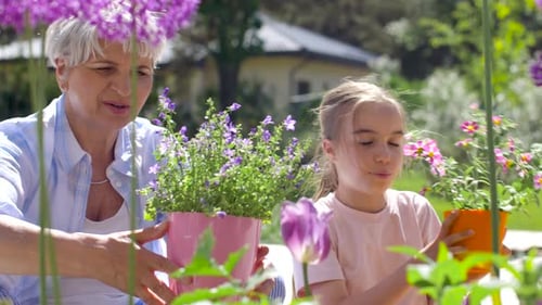 Grandmother and Girl Gardening Together on a Sunny Day