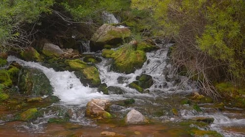 Scenic Stream with Cascading Water Through Mossy Rocks